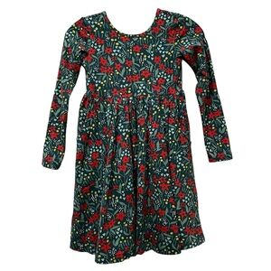 Hanna Andersson Girls 8 Long Sleeve Floral Ballerina Dress